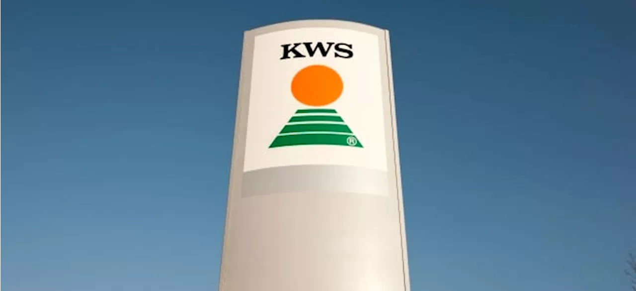 SDAX-Titel KWS SAAT SE-Aktie: Mit dieser Dividende bereitet KWS SAAT SE Anlegern eine Freude