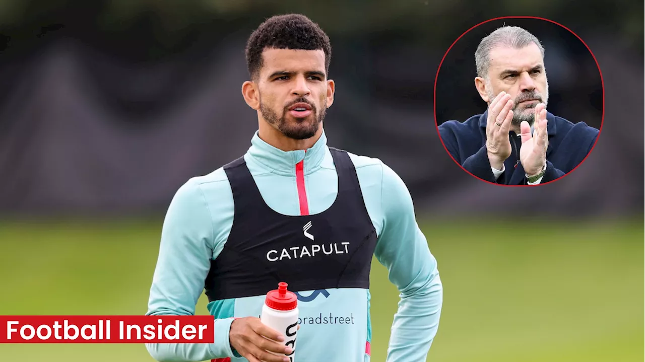 Dominic Solanke to be ‘left in Bournemouth’ – Tottenham fans fume at deal