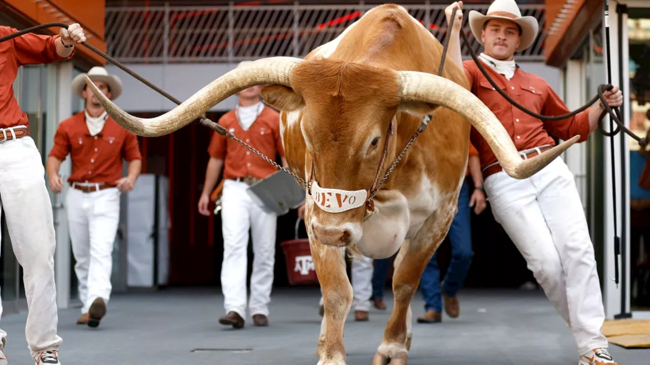 Texas' Bevo will not travel to Atlanta for SEC Championship game