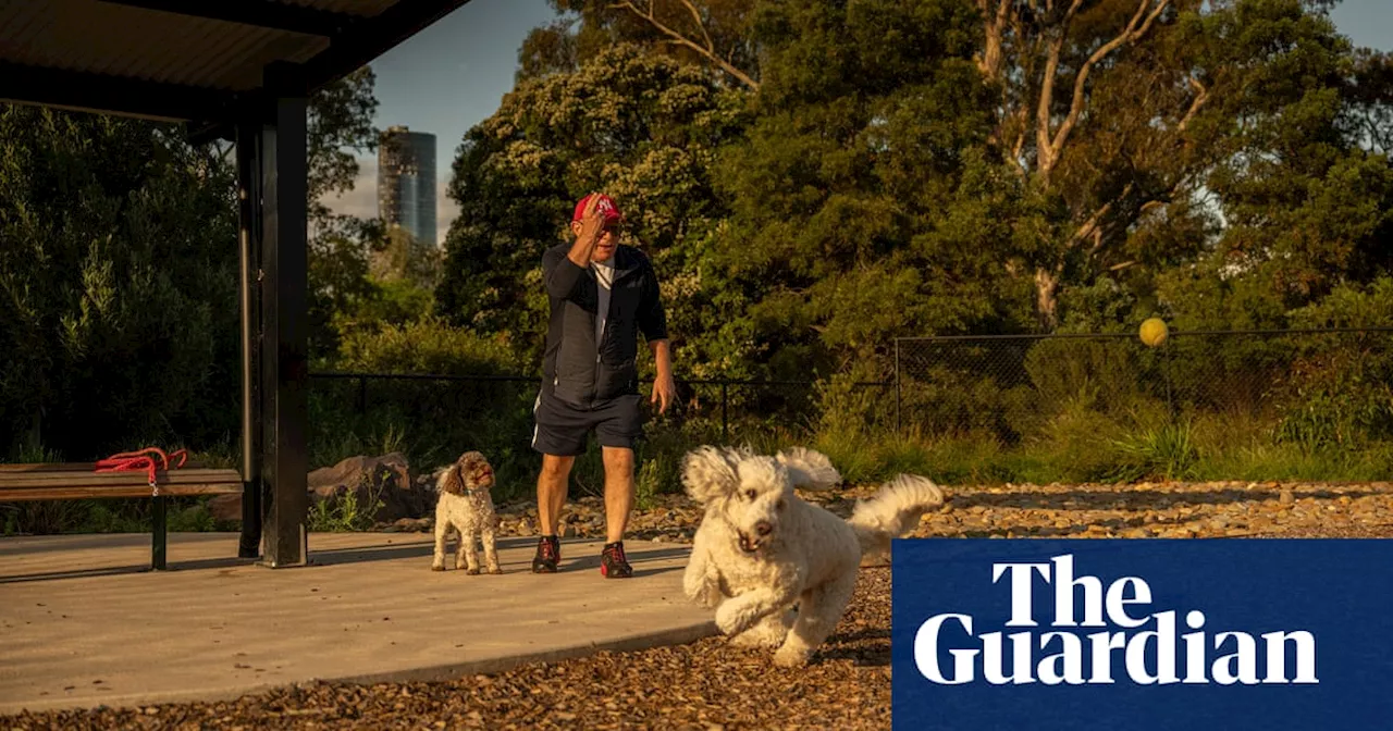 Quiet zones, sandpits and paddling pools: the paw-some evolution of Australia’s state-of-the-art dog parks