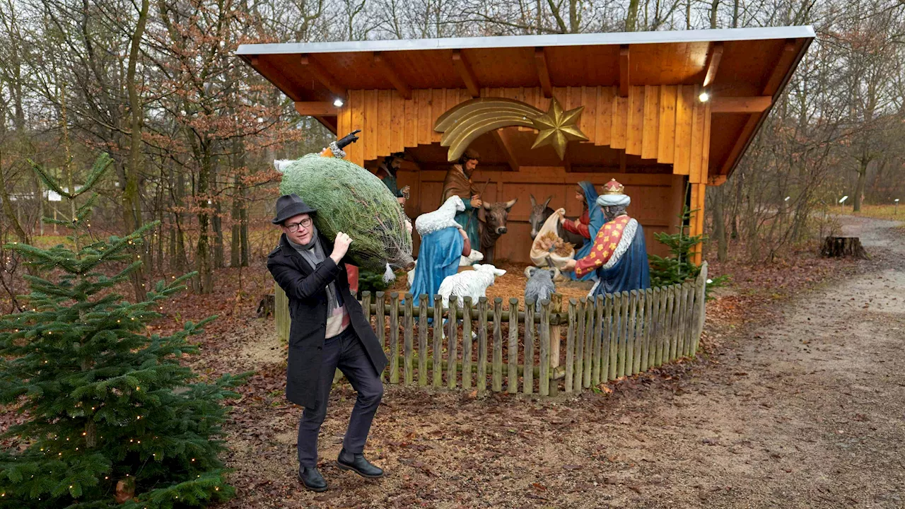 Weihnachtszauber im Hermesvillapark und Lainzer Tiergarten