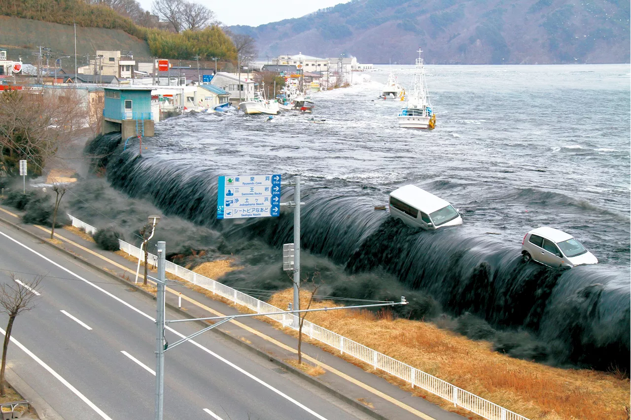 The Anatomy of tsunamis: Understanding their causes, impacts, and warning systems