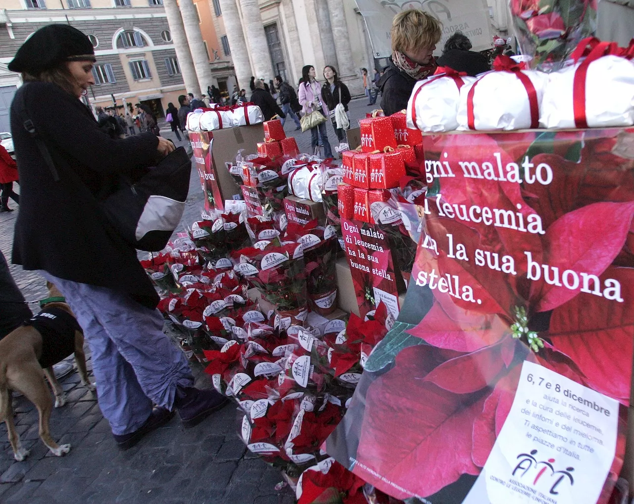 La Stella di Natale AIL illumina la lotta contro i tumori del sangue