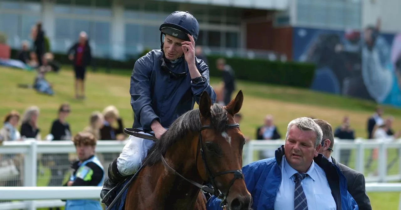 Aidan O’Brien praises City of Troy's groom as he wins trip of a lifetime