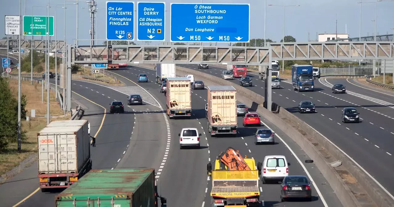 Female garda and male colleague brutally beaten by MMA fighter on busy M50