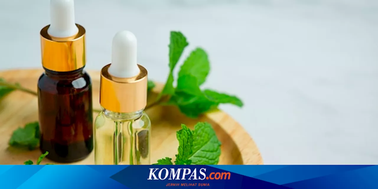 5 Bahan Alami untuk Menghilangkan Bau Tidak Sedap di Ruangan