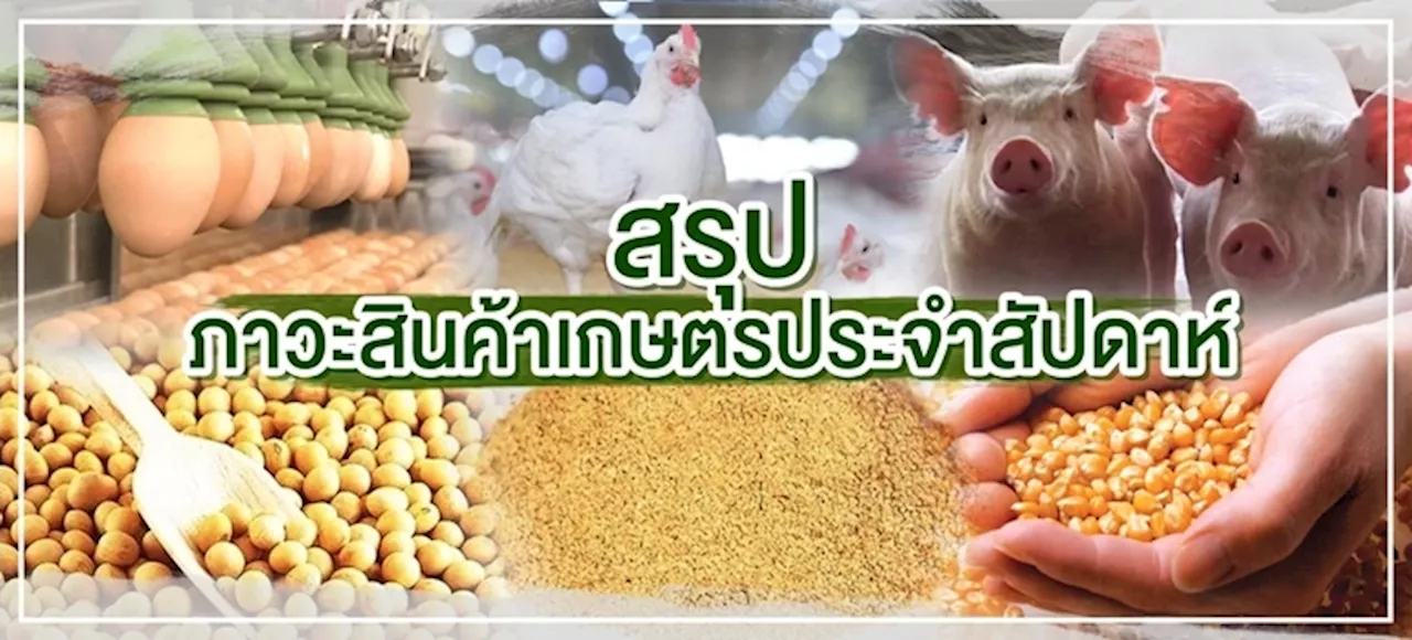 หมูสามชั้น 160 บาท/กิโลกรัม สะโพกหมู 135 บาท/กิโลกรัม