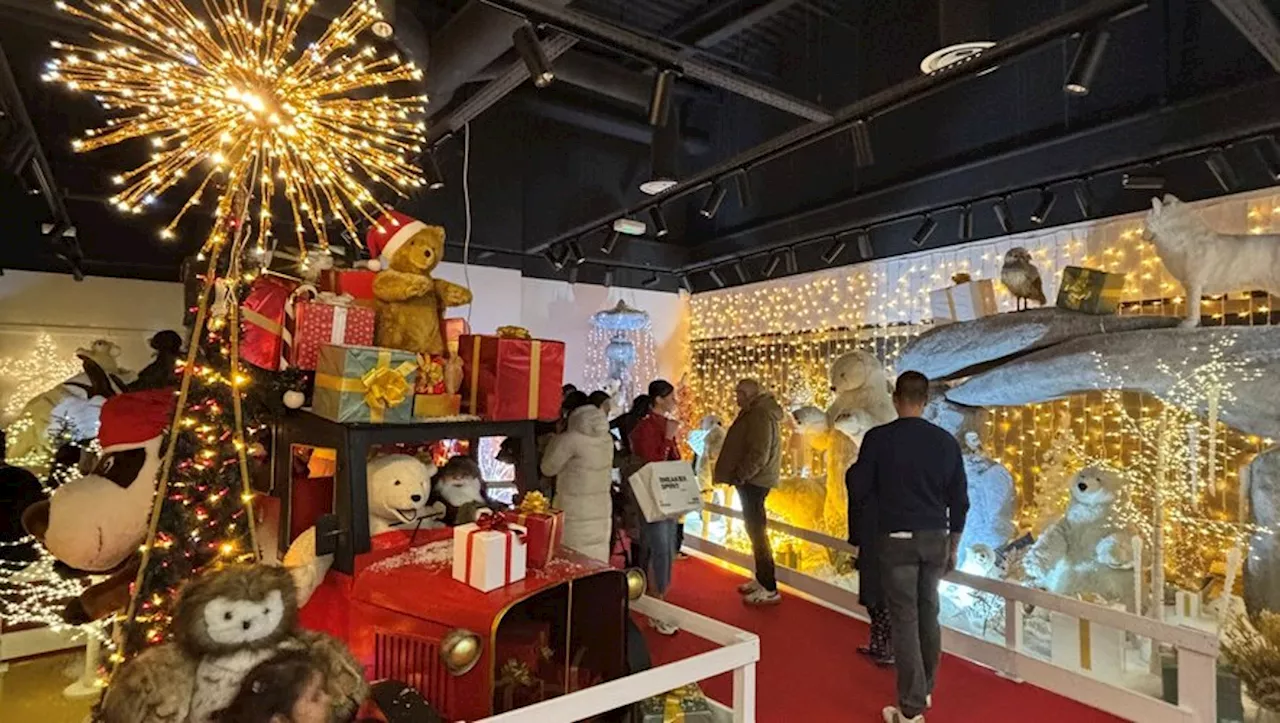 Ce beau village de Noël a ouvert dans une galerie marchande près de Toulouse