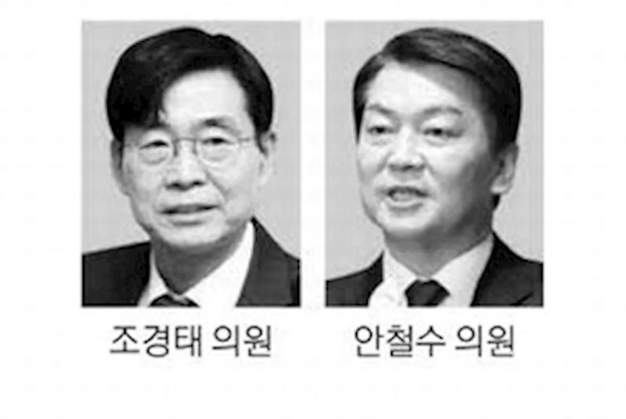 국민의힘, 탄핵 찬반 입장 나뉘어 고심 - 조경태, 안철수 찬성, 신동욱은 부결 지키기