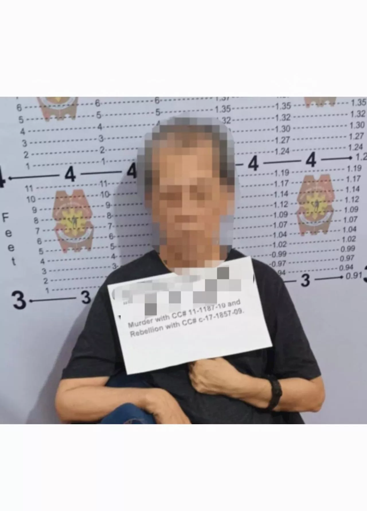 Former NPA Leader Arrested in Iloilo City