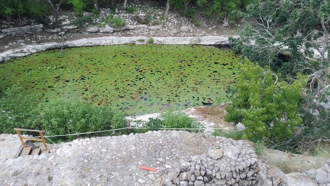 Encuentran piezas arqueológicas dentro del cenote Xlacah, en la zona de Dzibilchaltún, Yucatán