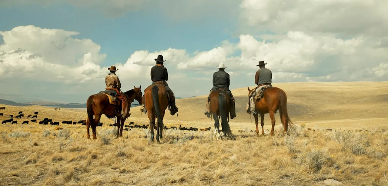 'Unsere Art zu leben, wird angegriffen': Yellowstone-Universum geht im neuen Trailer extrem dramatisch weiter