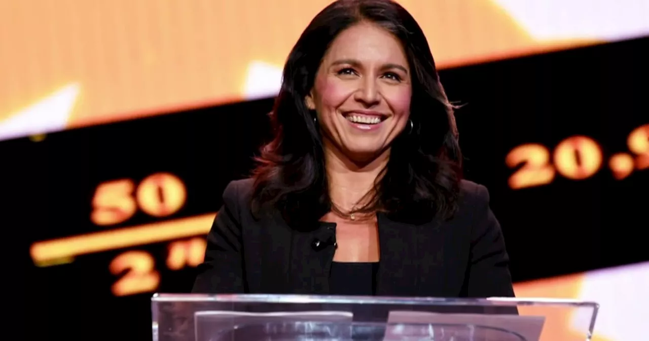 Nearly 100 former national security officials 'alarmed' at prospect of Gabbard leading intel community