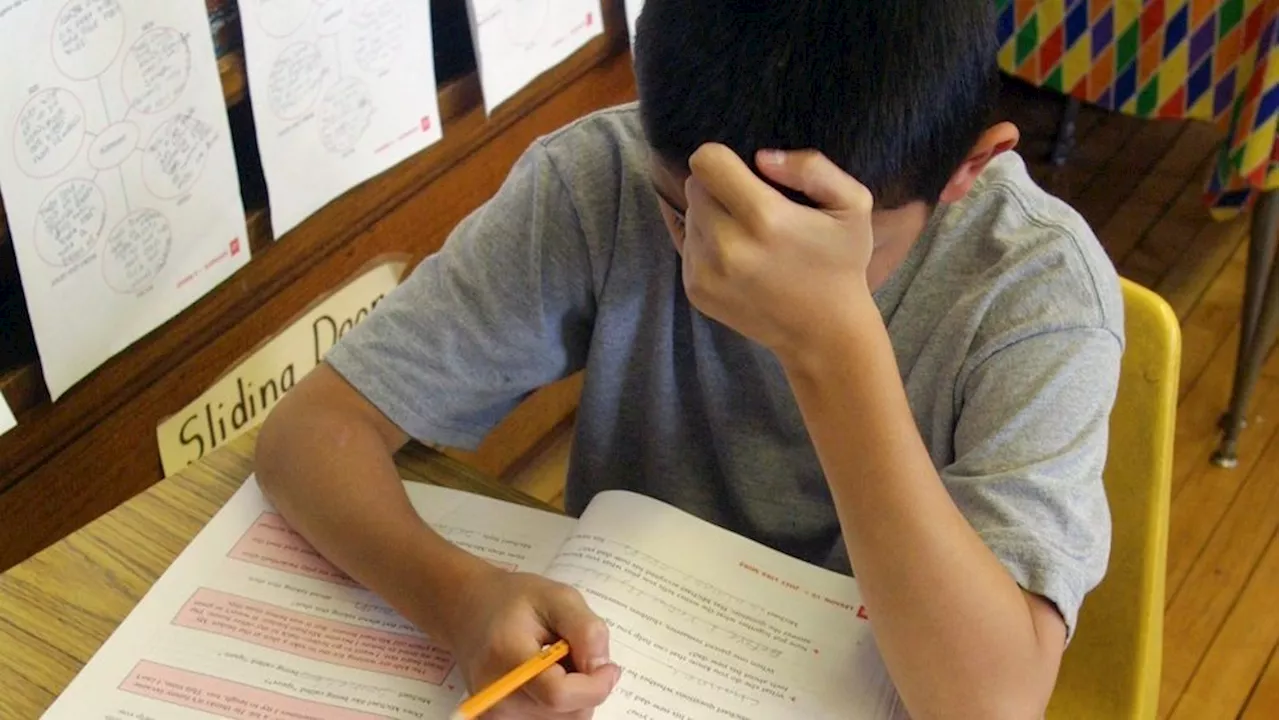 US fourth, eighth grade math scores plummet on international test: 'A national crisis'