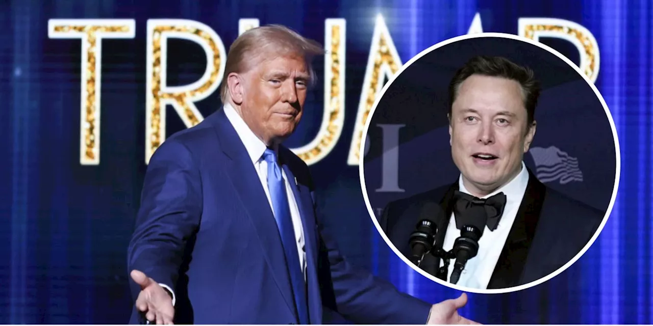 Elon Musk gab über 250 Millionen für Trump-Wahlkampf aus