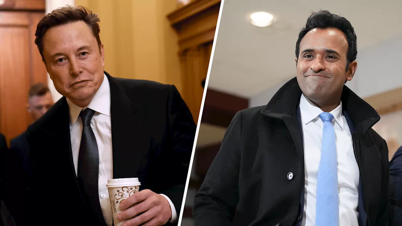 Elon Musk and Vivek Ramaswamy Meet with Republicans to Cut Federal Spending