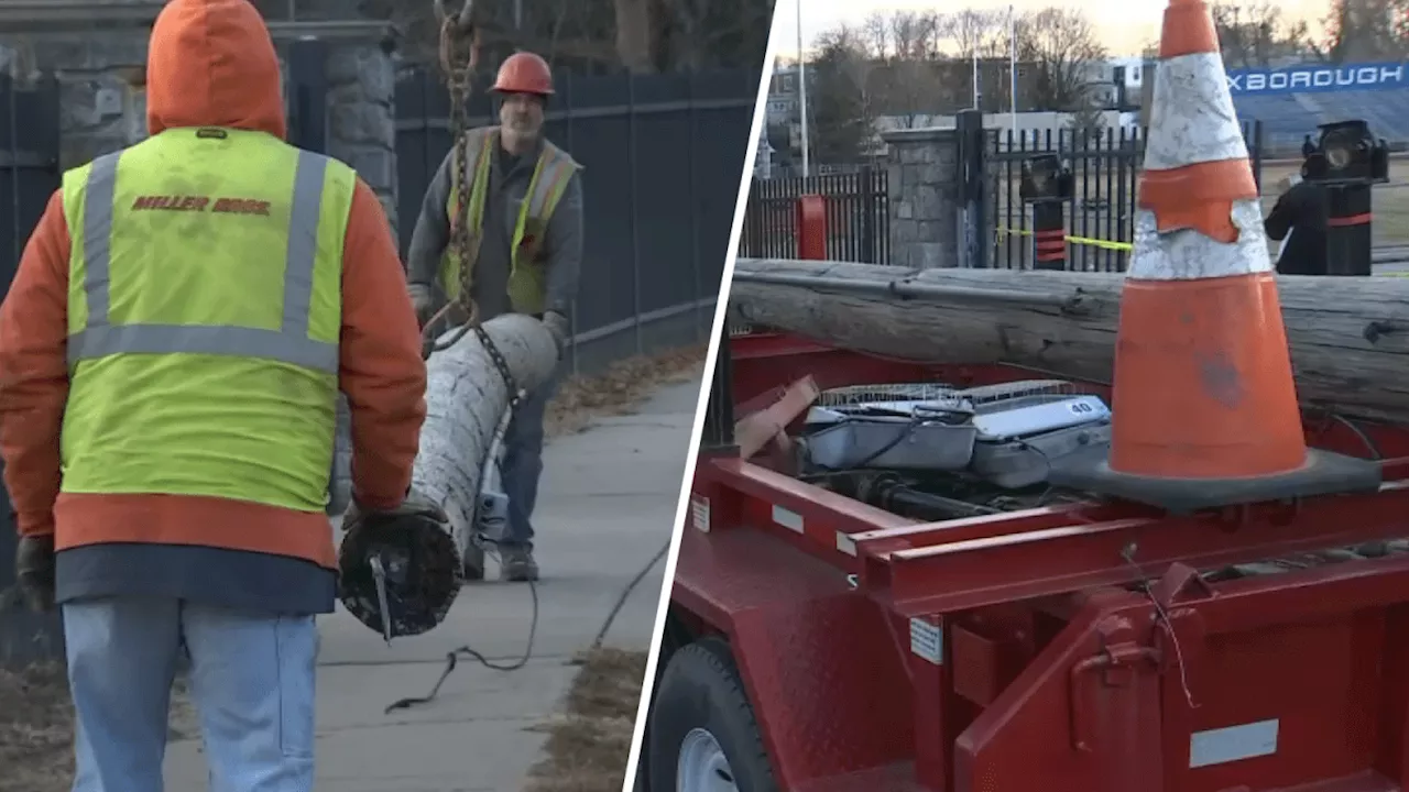 Woman killed after light pole falls on her at Roxborough High School