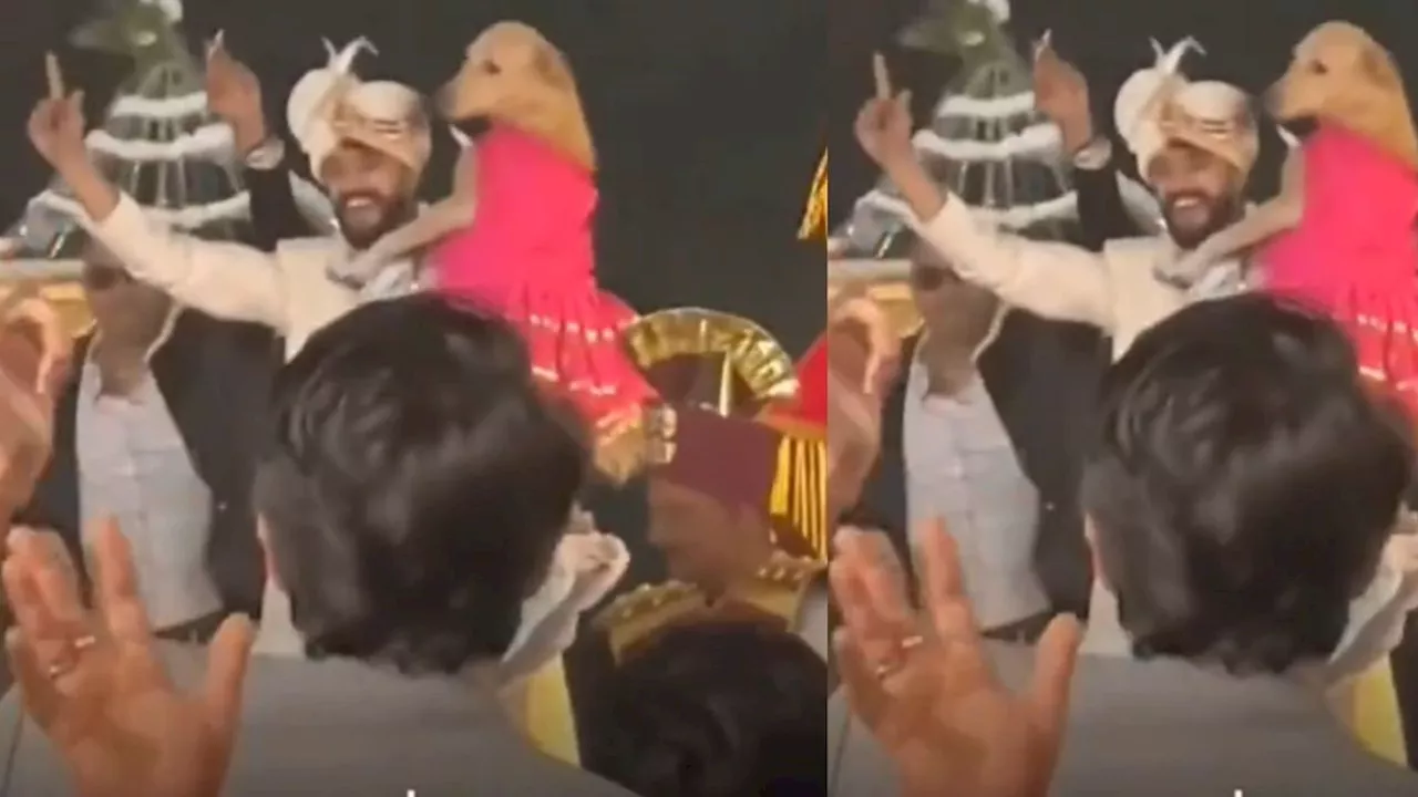 Viral Video : दूल्हा जब अपने कुत्ते के साथ पहुंचा दुल्हन लेने, फिर जो हुआ, देख लोगों को नहीं हुआ यकीन