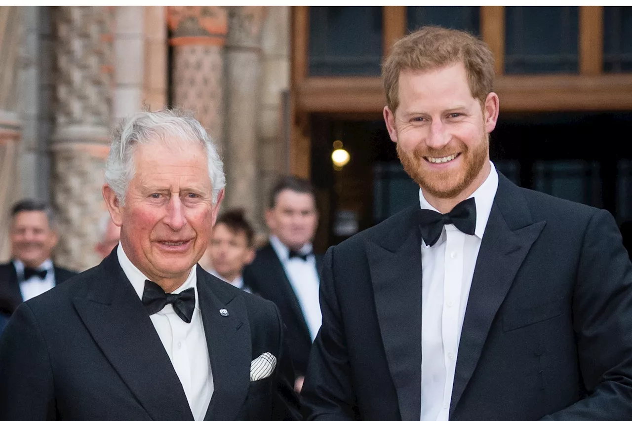 Prince Harry U-Turn on King Charles' Controversial Advice