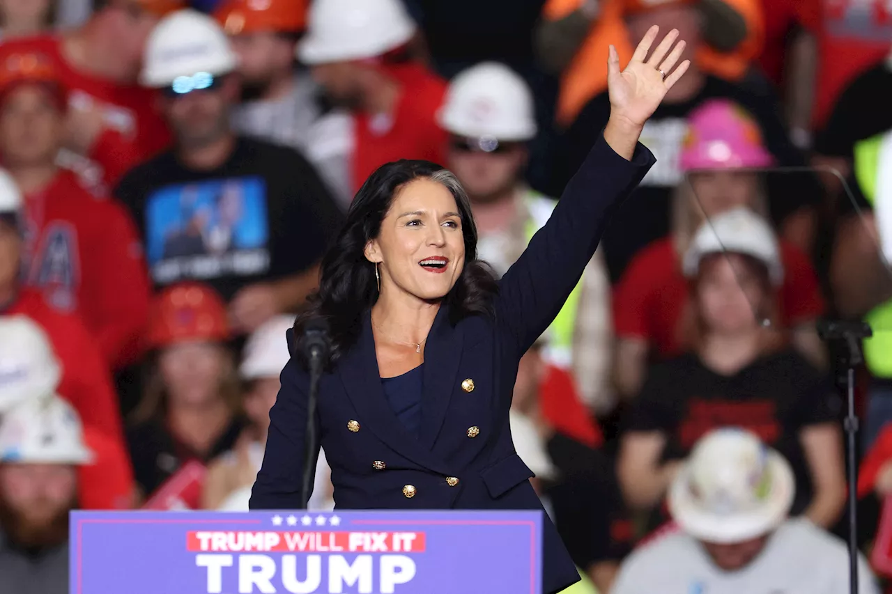 Tulsi Gabbard's Russia Views 'Dangerous'—Former NATO Ambassador