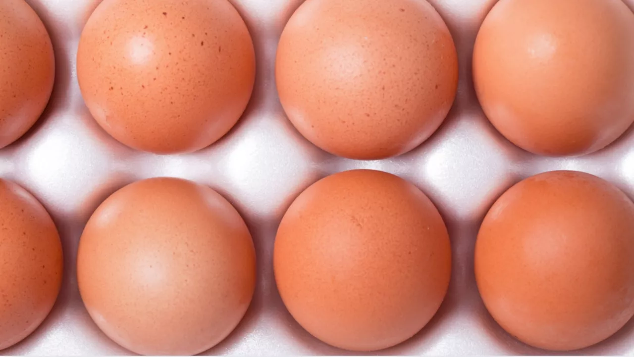 Egg recall: Throw out these Kirkland eggs sold at Costco in 5 states