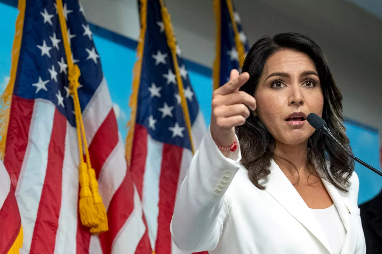 Trump DNI nominee Tulsi Gabbard taunted by former GOP congressman