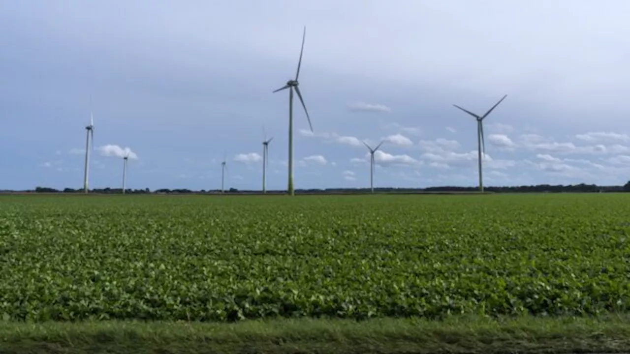 Op z’n Kop! - Diederik Gommers over Windmolens en Instituten