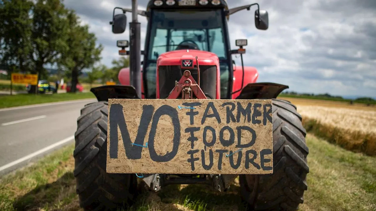 Baden-Württemberg: Wie die Landwirtschaft Klimaziele erreichen kann