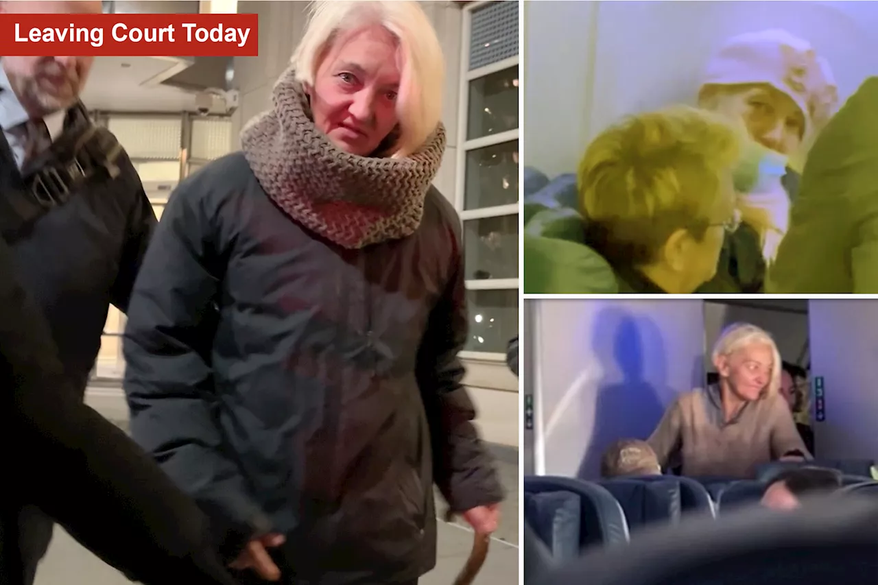 Unhinged Russian JFK stowaway allegedly tried wild stunt at other airports -- and still gets freed