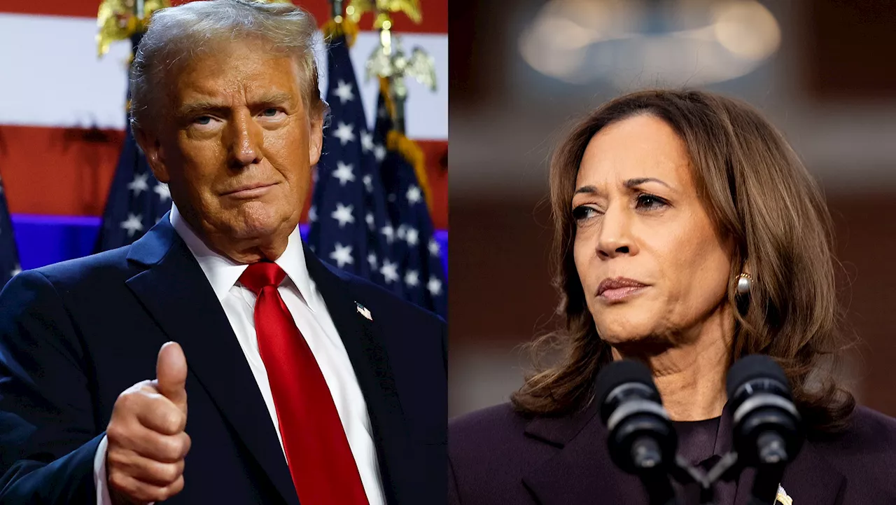 Team Trump Mocks Harris Campaign’s ‘Flawless’ Job to Their Faces