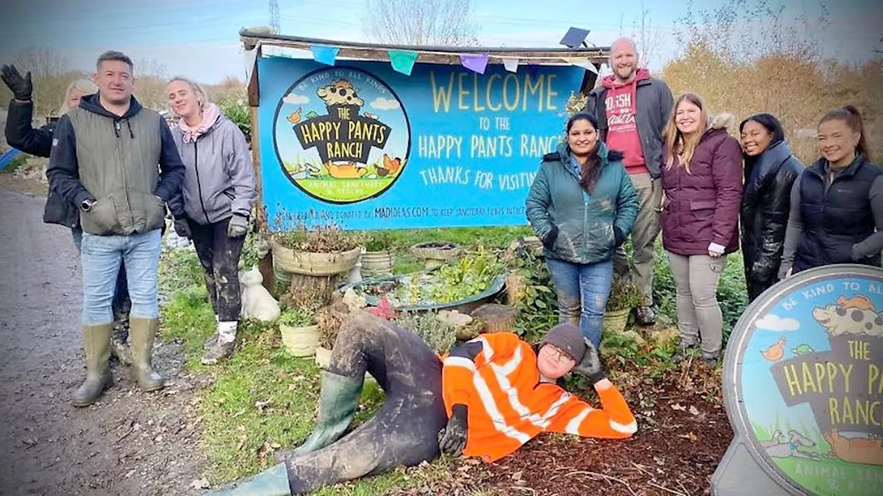 England: Hunderten Tieren droht der Tod – weil der Gnadenhof den Anwohnern zu laut ist