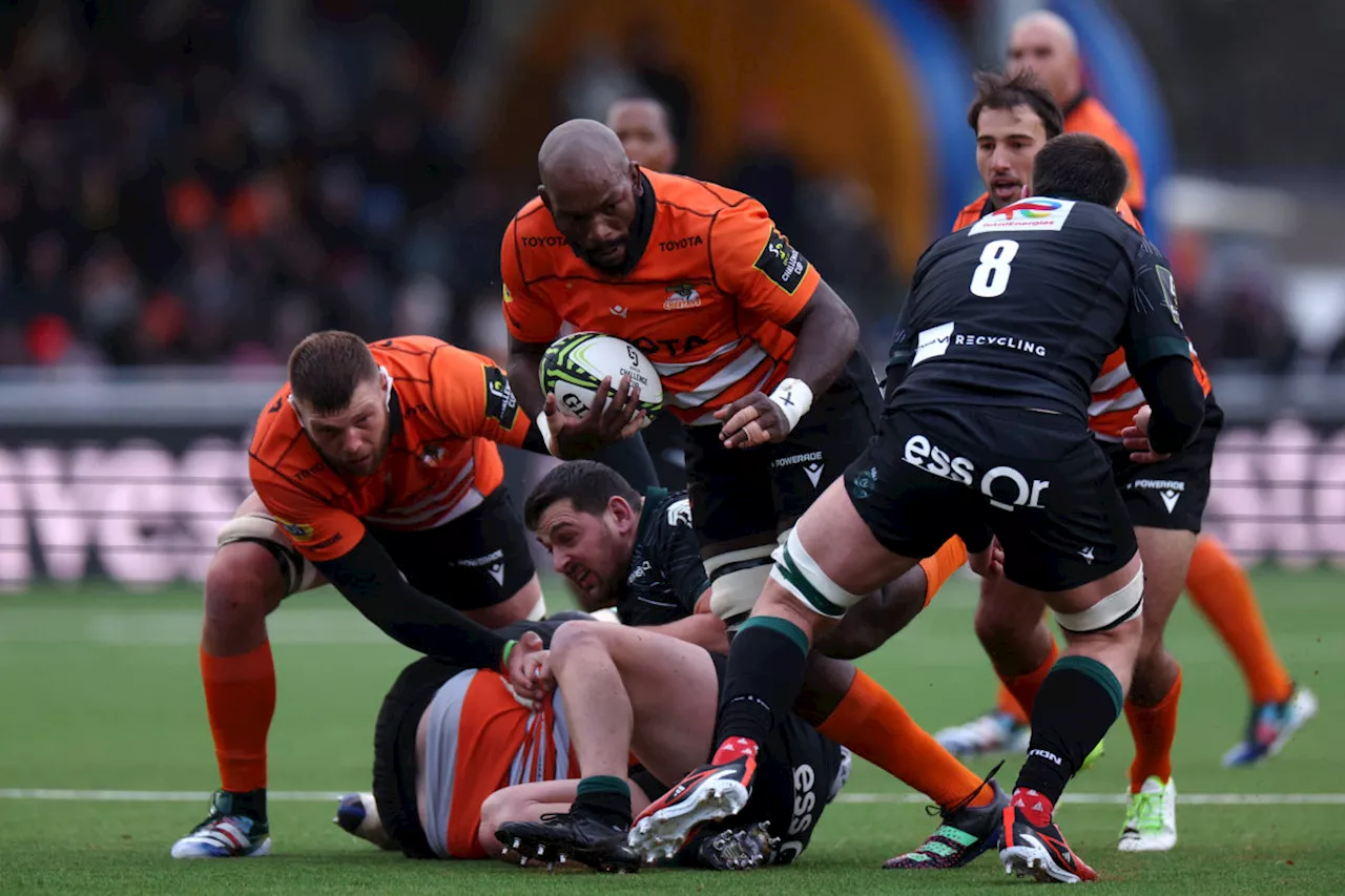 Cheetahs stock up on grizzled veterans