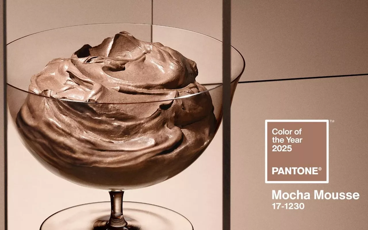 Pantone divulga a cor do ano para 2025: Mocha Mousse