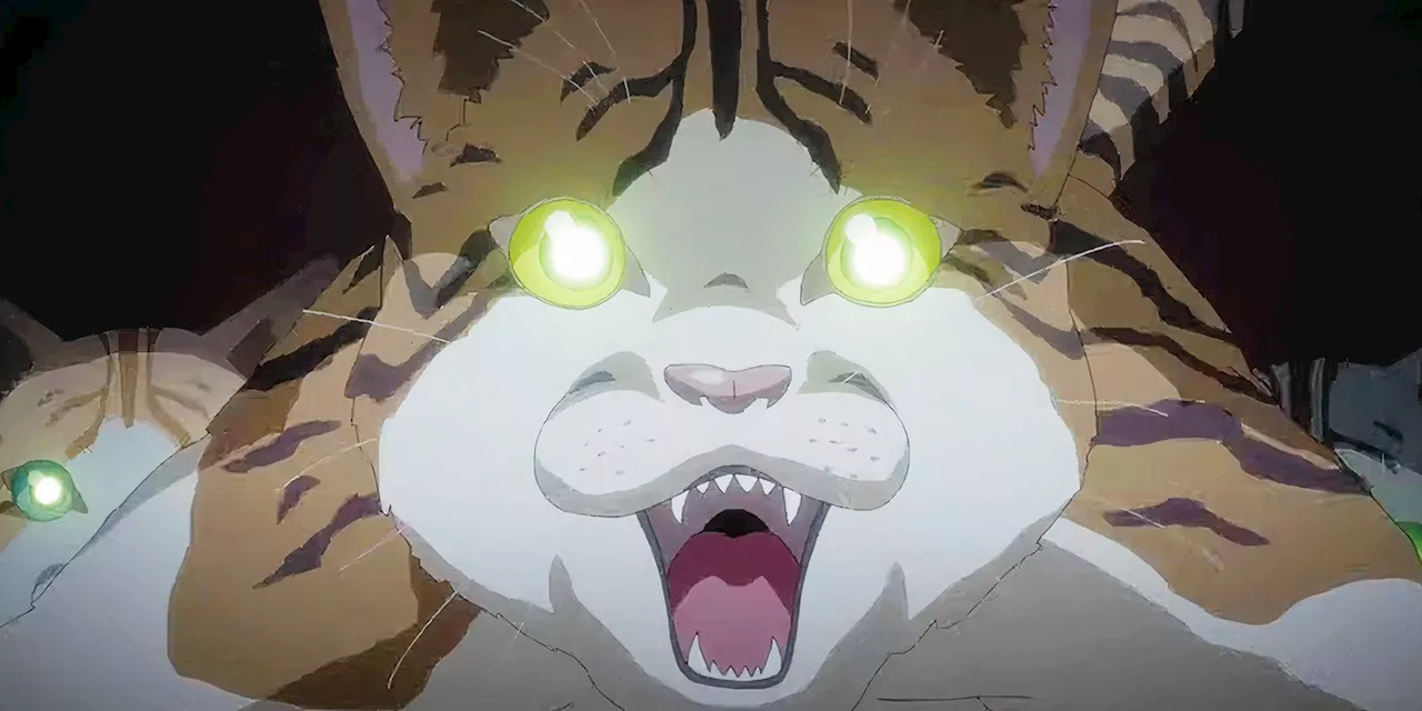 Pokémon Studio and Legendary Director Partner Up For New Anime About Cat Apocalypse: Watch Now