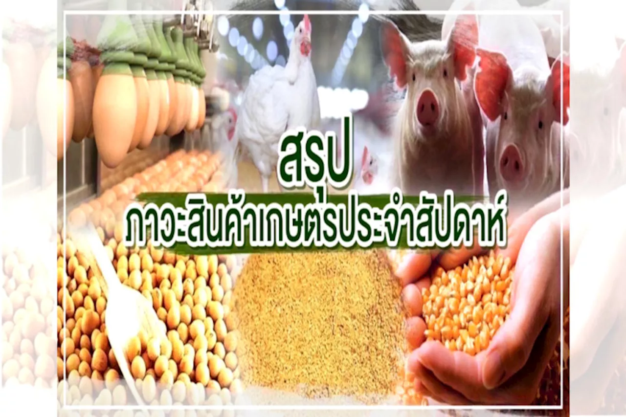 สรุปภาวะสินค้าเกษตรประจำสัปดาห์ วันที่ 2-6 ธันวาคม 2567