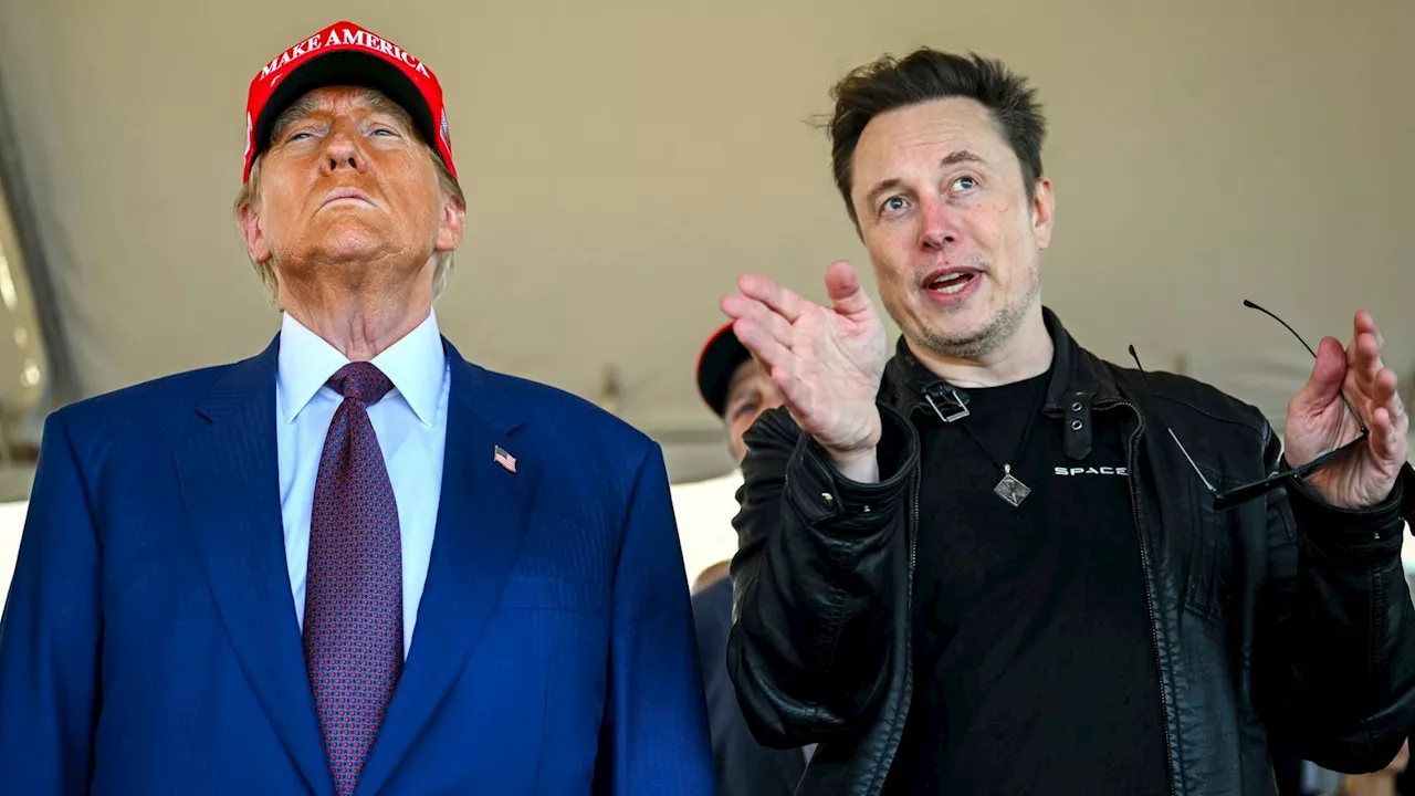 Elon Musk spent more than quarter of a billion dollars helping Donald Trump win US election