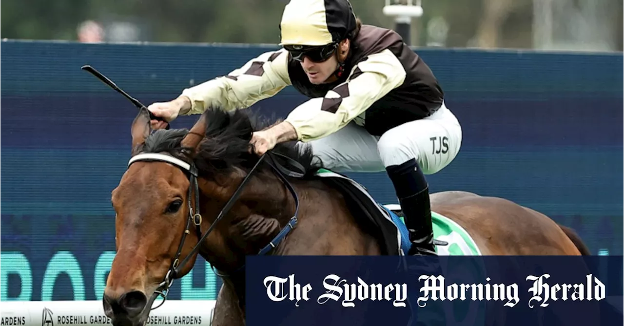 Exciting Up-and-Coming Horses Race at Rosehill