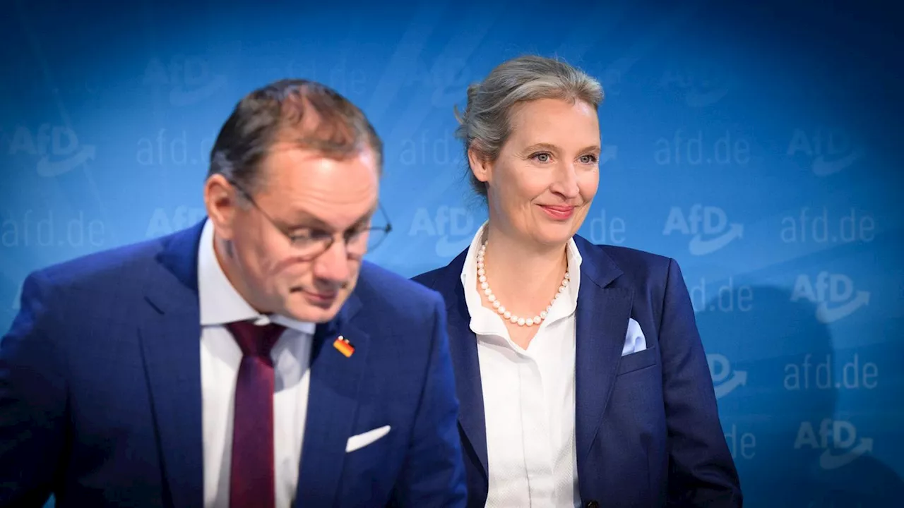 Alice Weidel: AfD schickt erstmals Frau in den Wahlkampf