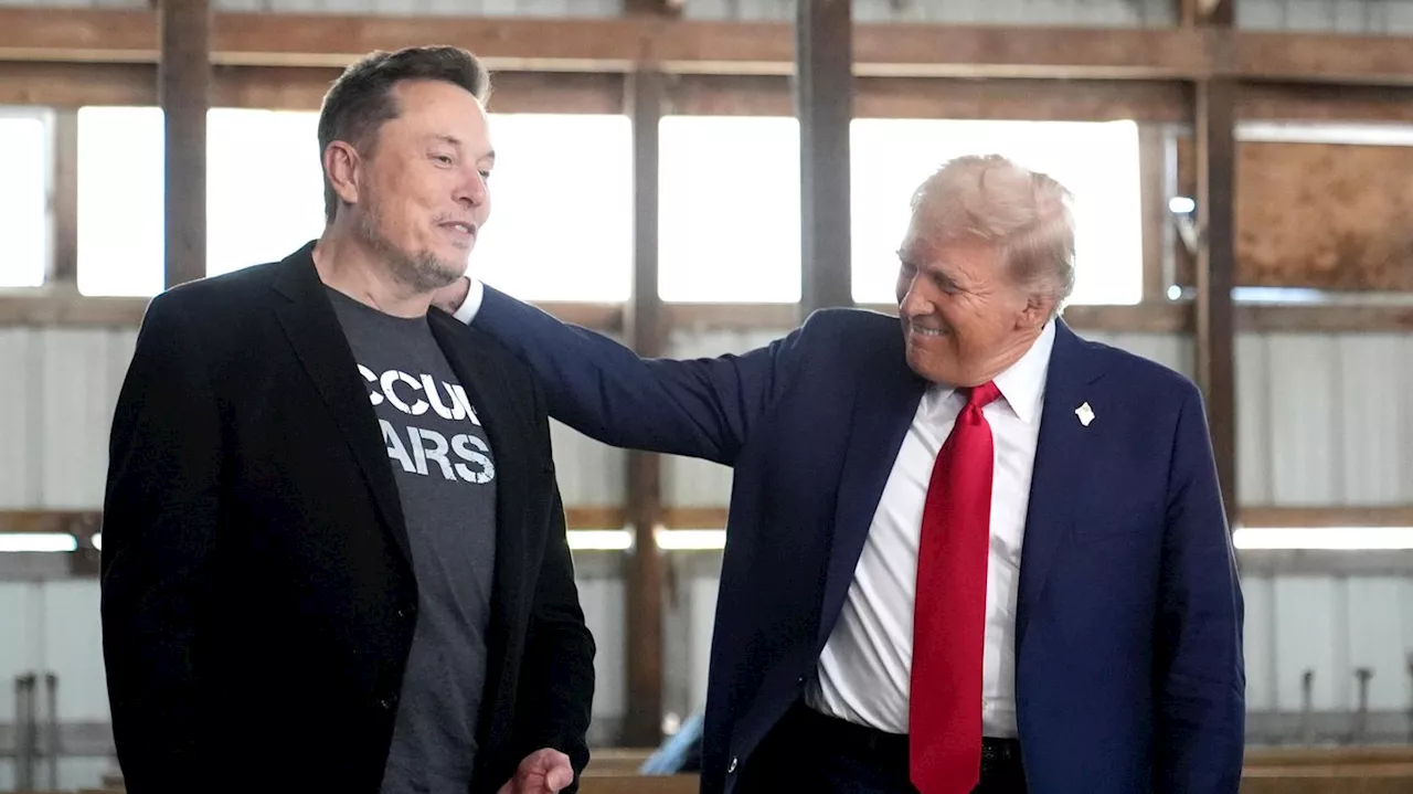 Elon Musk spendete 250 Millionen Dollar für Trump-Wahlkampf