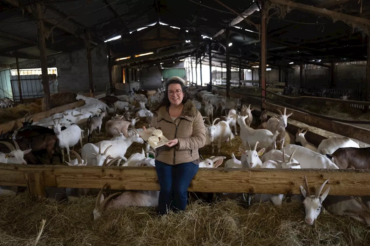 AOC du mothais sur feuille : « Ça protège notre savoir-faire, tout le monde ne pourra pas faire n’importe quoi »