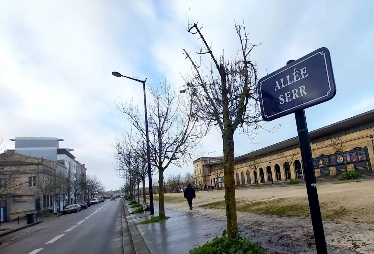 Bordeaux. Du vert pour l’allée Serr : une « forêt » et des aires de pique-nique en 2026