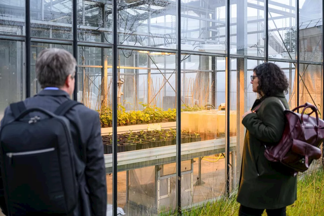 Gradignan : le FarmLab de Bordeaux Sciences Agro multiplie les agro-expérimentations