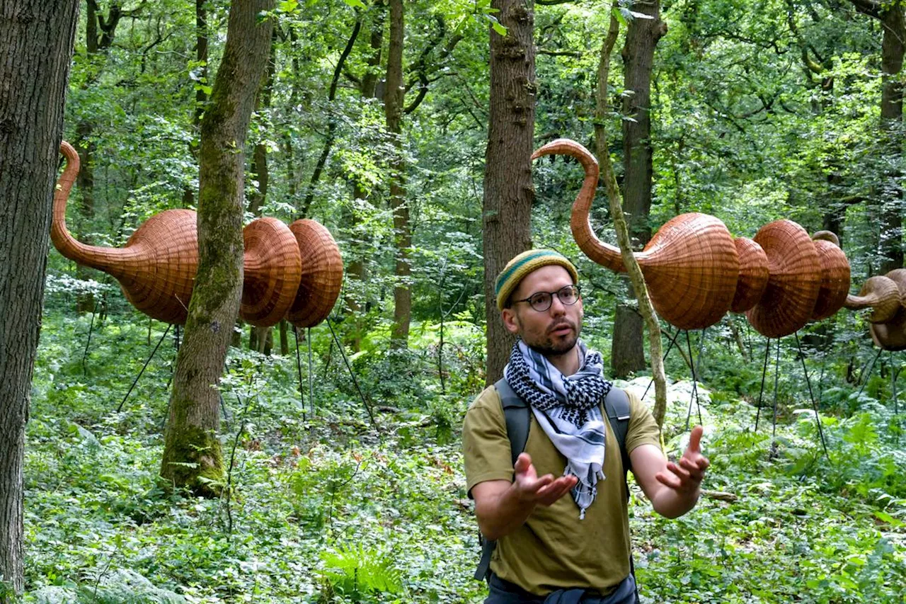 Insolite : treize œuvres d’art à ciel ouvert enchantent une forêt près de Rouen