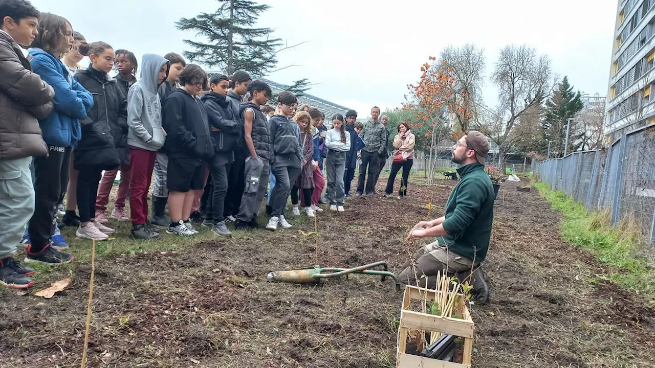 « On mise sur l’avenir » : des plants à long terme, une microforêt dans l’enceinte du collège Clisthène du Grand Parc de Bordeaux