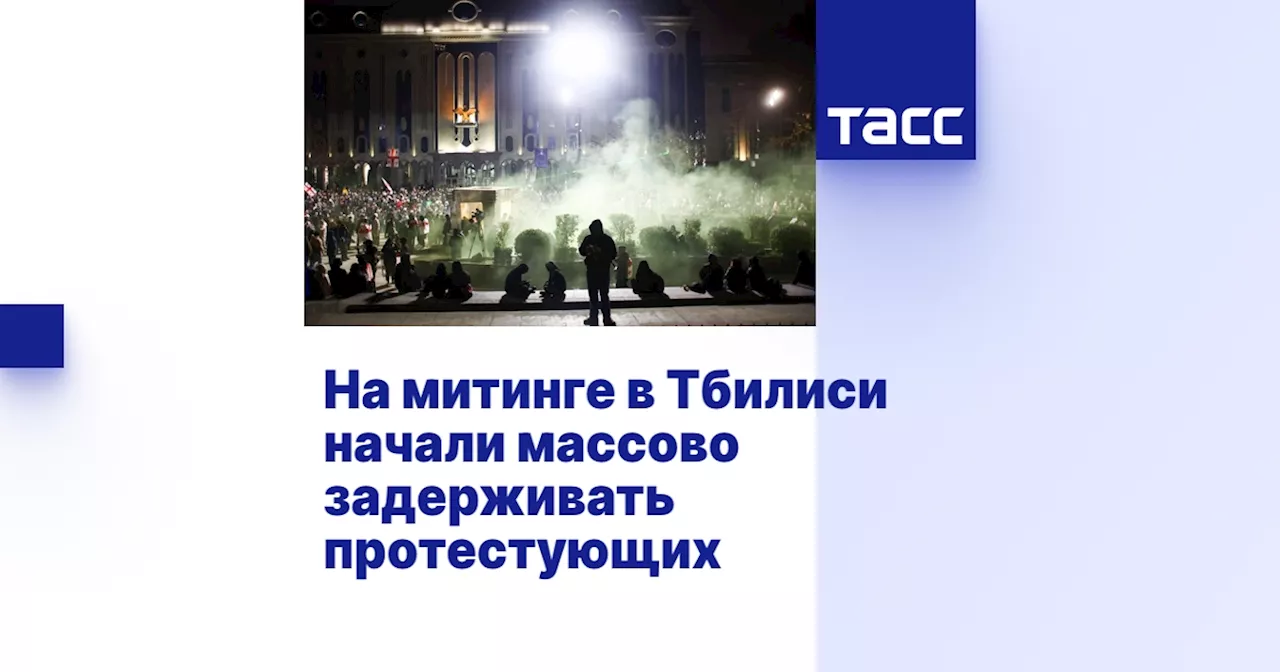 На митинге в Тбилиси начали массово задерживать протестующих