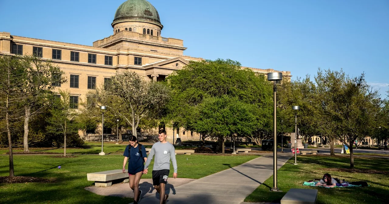 Texas university faculty senates: What you need to know