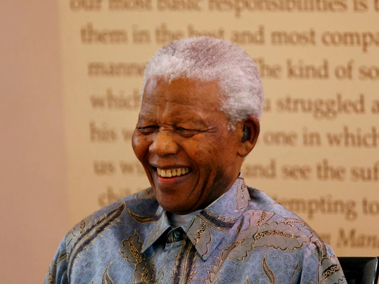 Nelson Mandela Foundation files motion to compel government on land reform