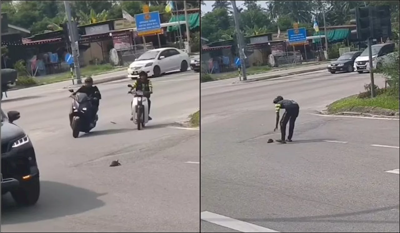 [Watch] Kind Man Helps A Tortoise Cross The Busy Road