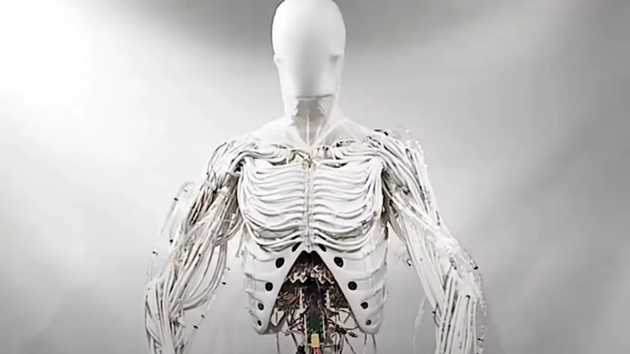 Creepy faceless ‘Clone Alpha’ robot with synthetic organs, artificial muscles and even veiny arms coming ne...