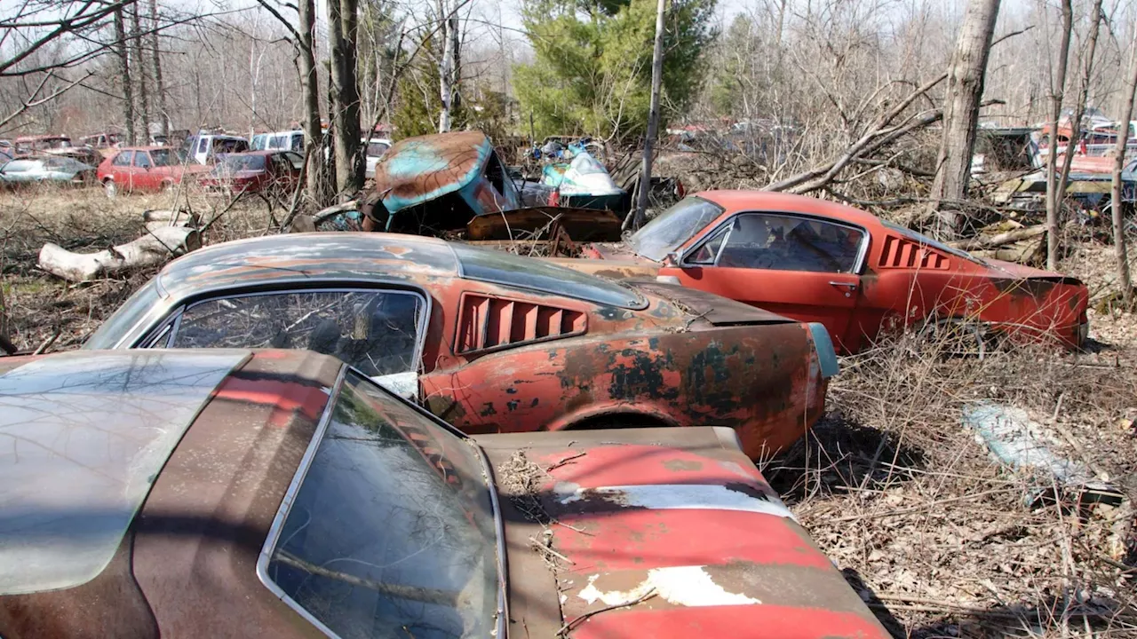 Explore incredible classic car junkyard with amazing motors forgotten by time